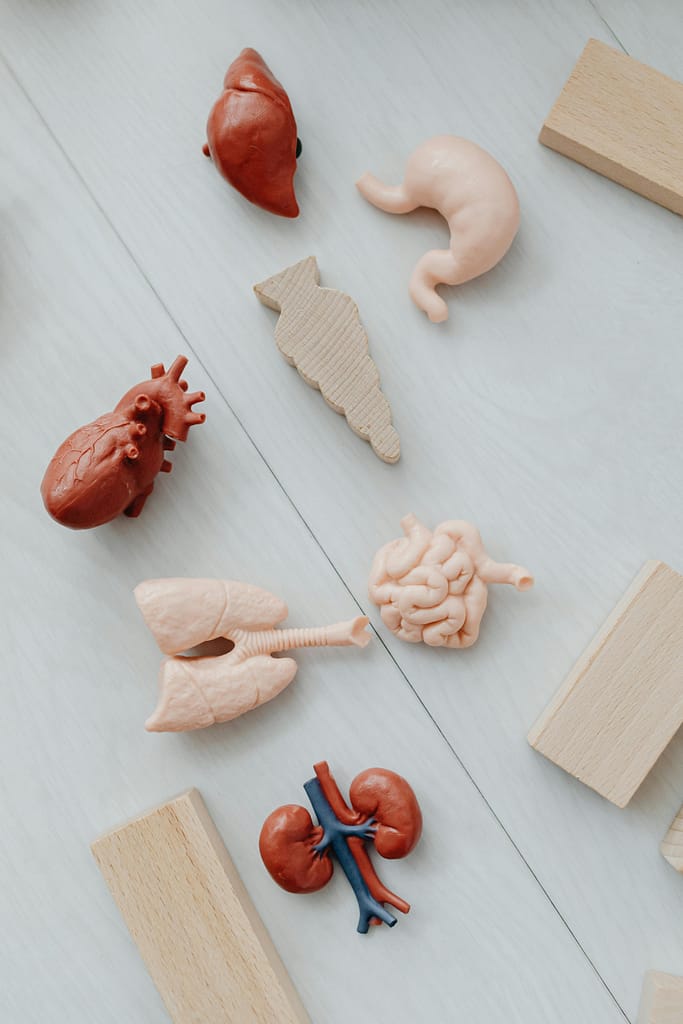 Where Abroad to Study Medicine?