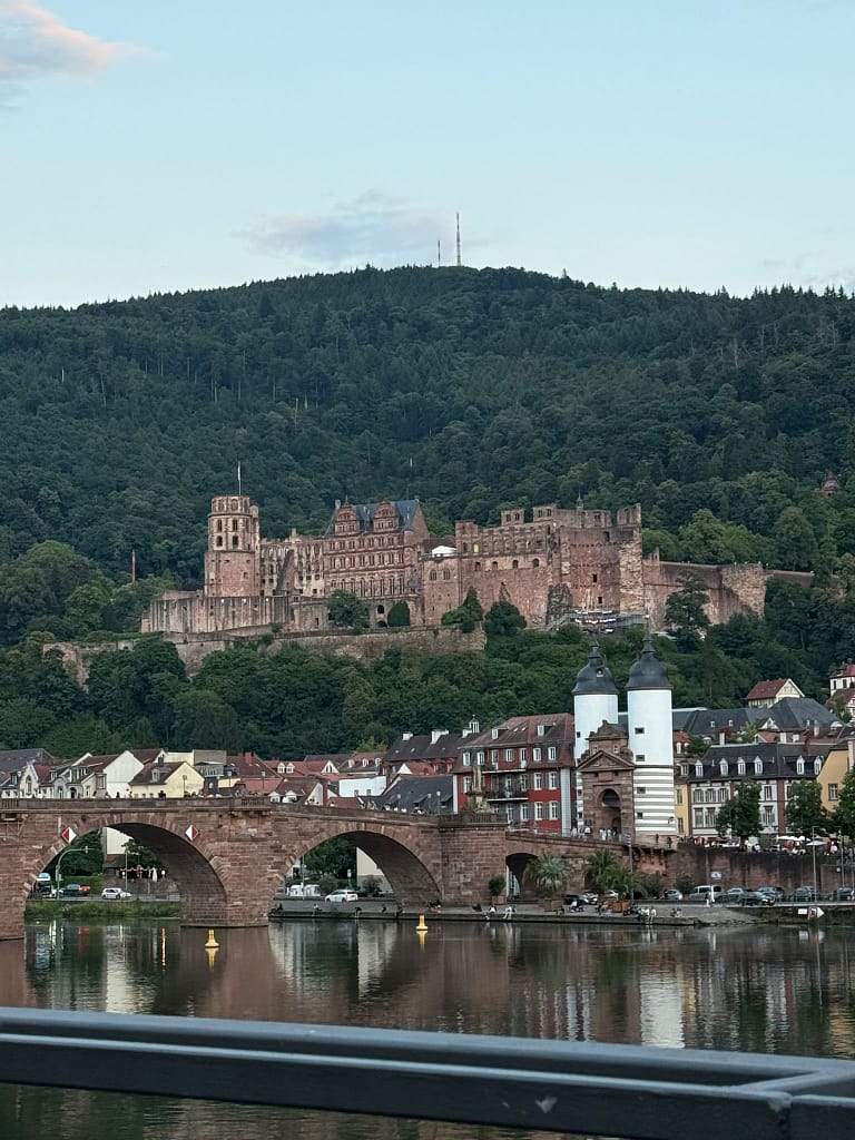 A scenic panoramic view of Heidelberg, Germany, showcasing the historic Old Bridge, the Neckar River, and Heidelberg Castle above the city. The image represents Heidelberg’s academic heritage and its renowned medical faculty, making it a symbolic destination for international medical students in Germany.